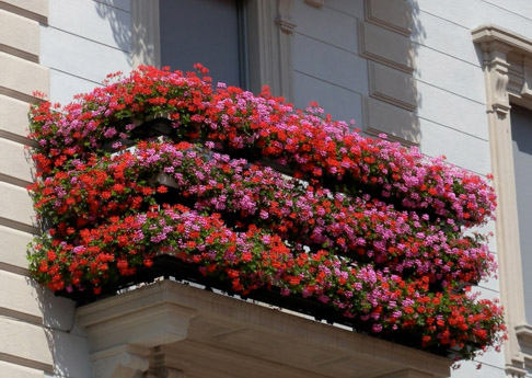 Balcón con flores
