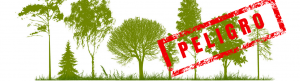 Banner árboles peligrosos Ranking de los árboles y arbustos más mortales del mundo 1