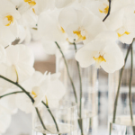 Banner boda orquídeas blancas min Orquídeas blancas para una boda de ensueño 7