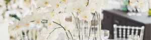 Banner boda orquídeas blancas min Orquídeas blancas para una boda de ensueño 37