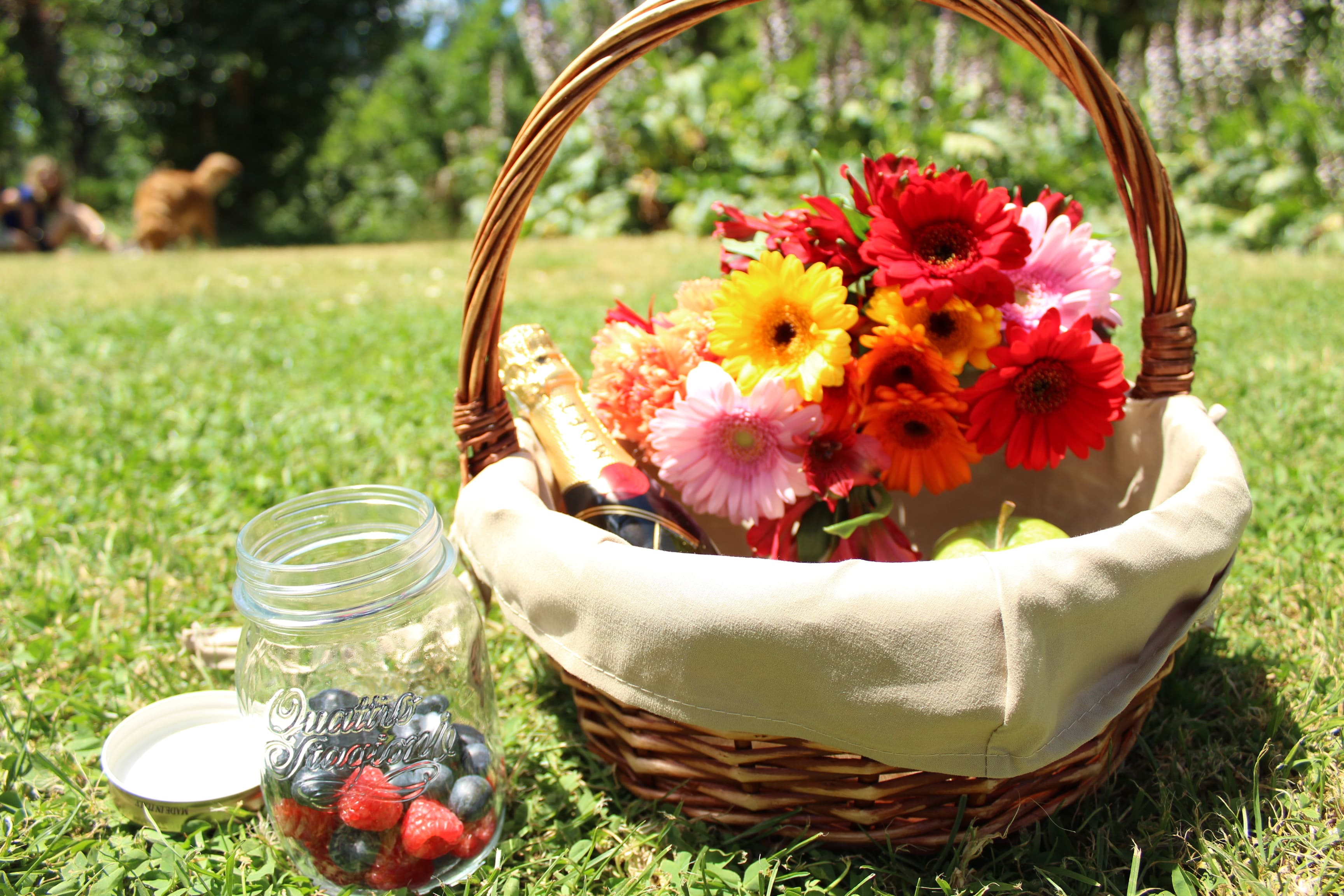 Una cesta de mimbre llena de gerberas en un campo con un tarro de vidrio al lado