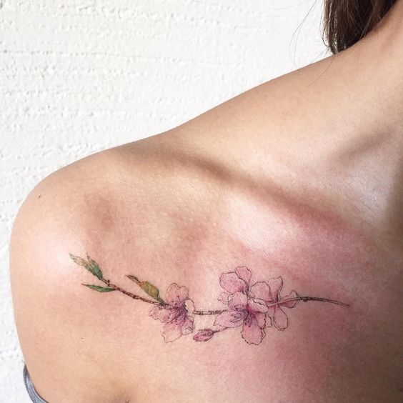 Tatuaje de flores de cerezo rosas en la clavícula