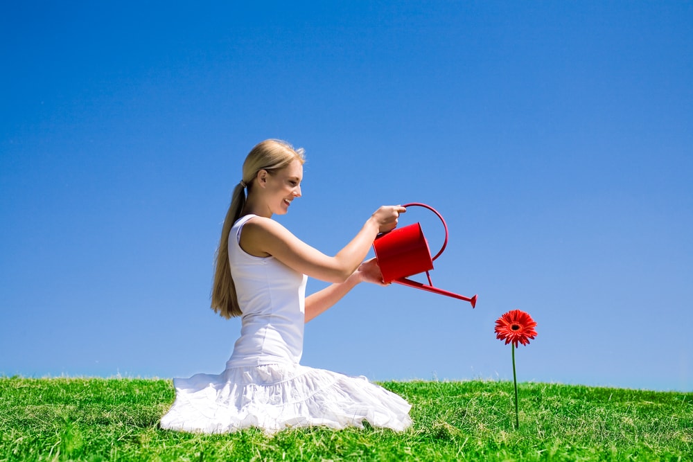 Una mujer joven con vestido blanco riega una gerbera roja en un prado