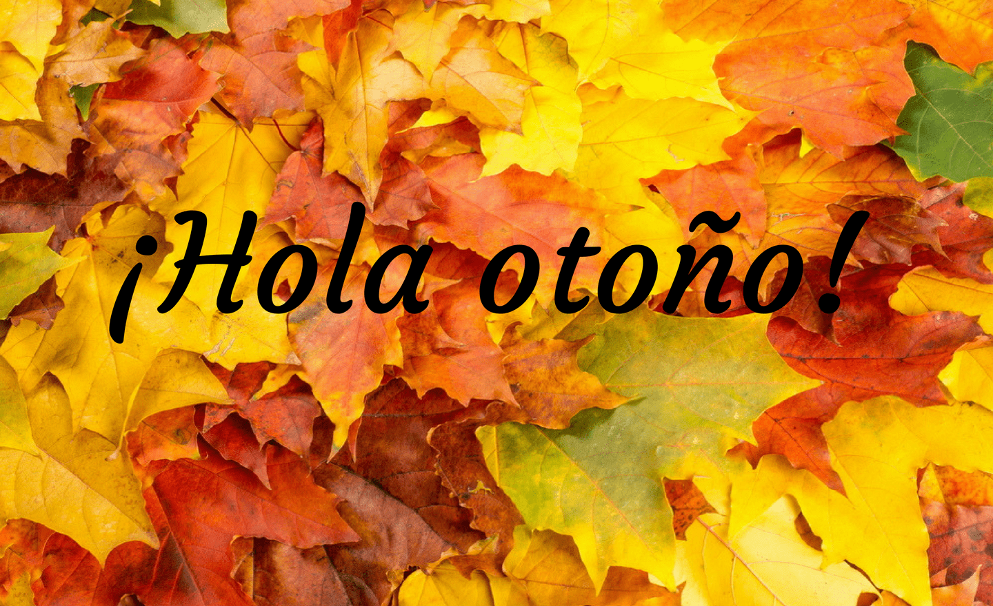 Background the hojas con los colores del otoño con texto Hola otoño
