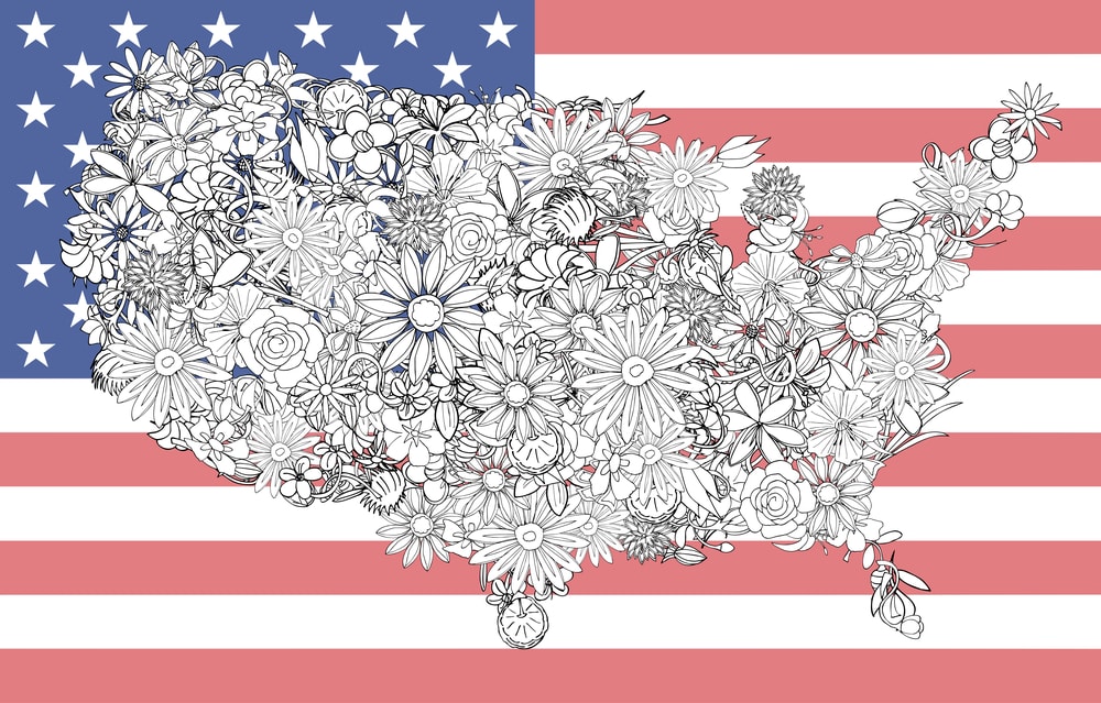 Mapa de Estados Unidos con flores