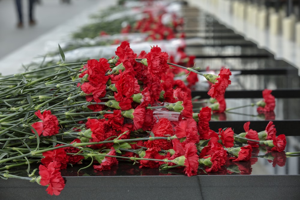 Flor en una tumba como símbolo de respeto