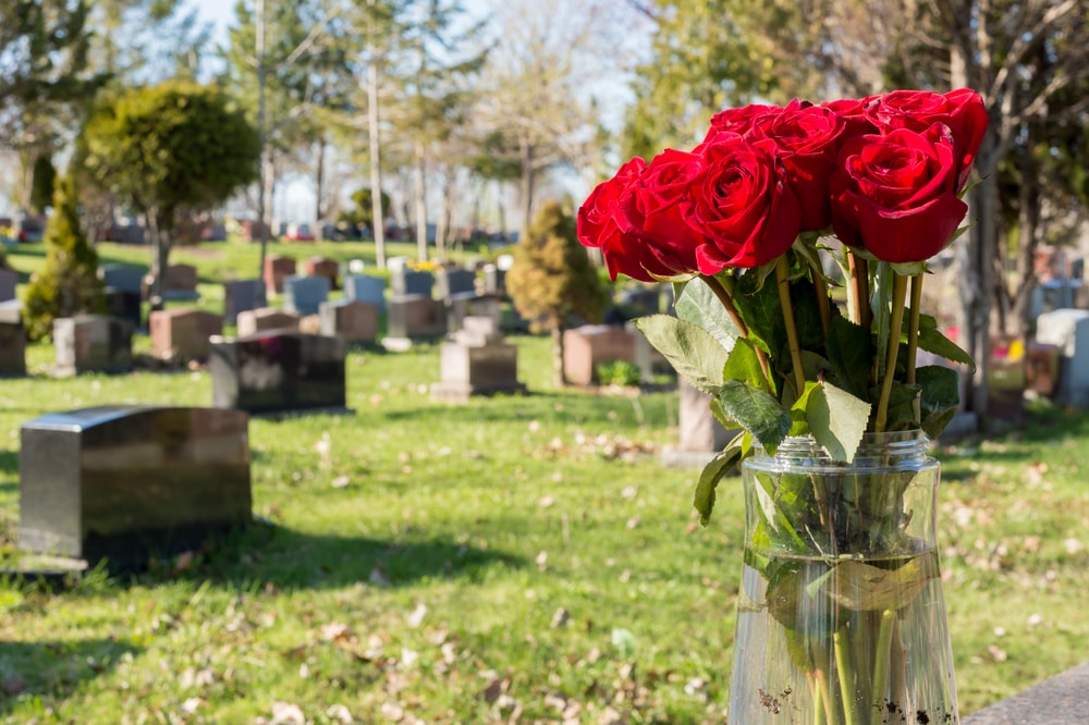 Un jarrón con rosas rojas en un cementerio lleno de lápidas sobre césped