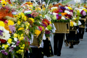 sillerosenColombiaferiadelasflores Los festivales de flores que no te querrás perder 119