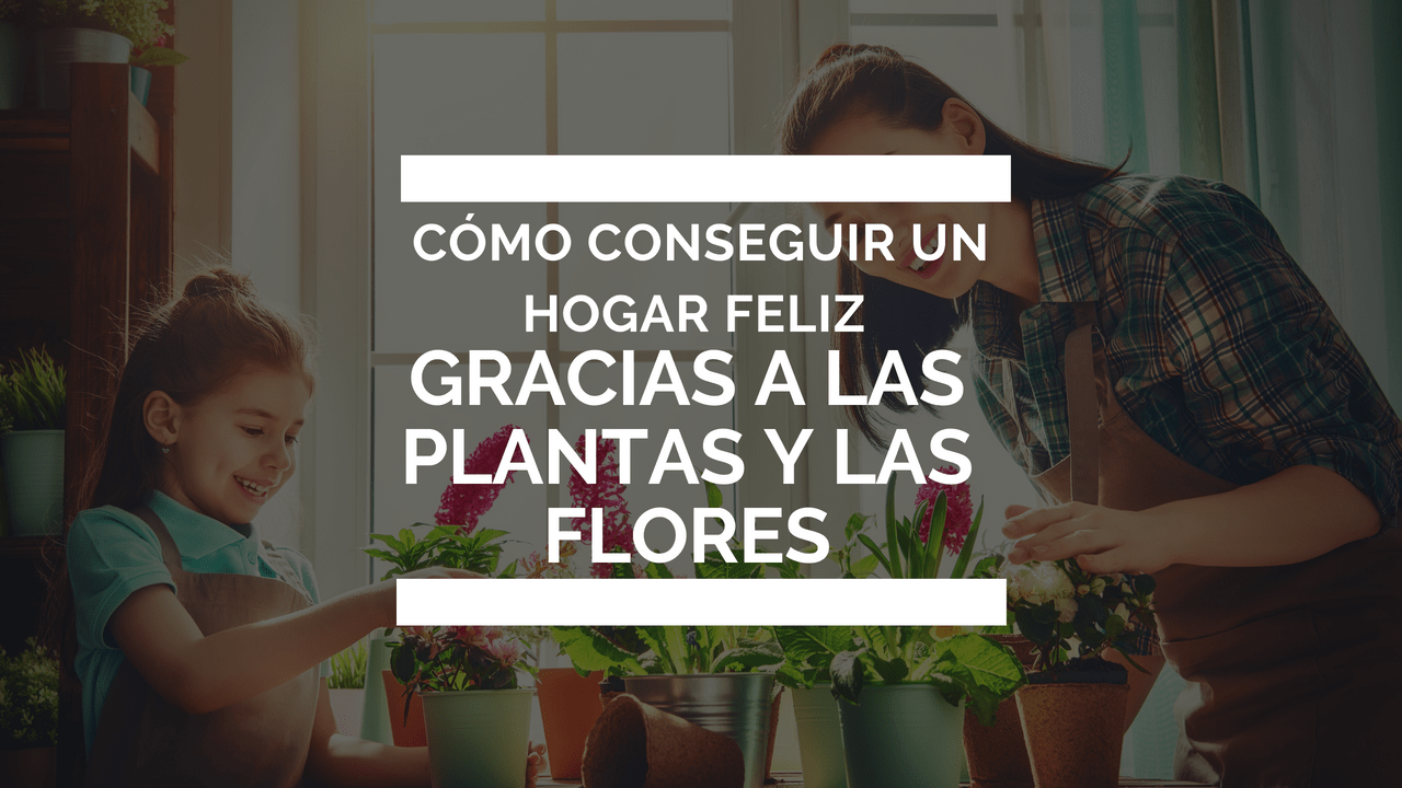 Cómo conseguir un hogar feliz gracias a las plantas y las flores