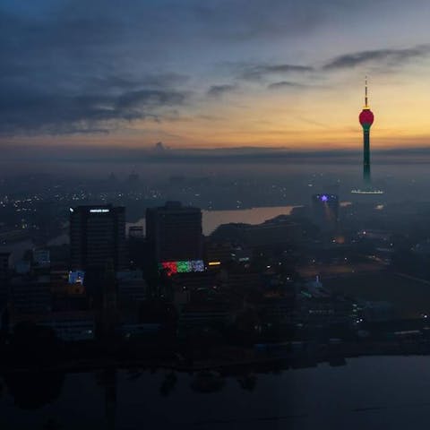 The Blossoming Wonders of Colombo’s Beaches - Flora Queen