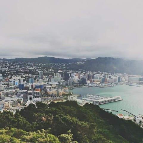 Experiencing the Flower Markets of Wellington - Flora Queen
