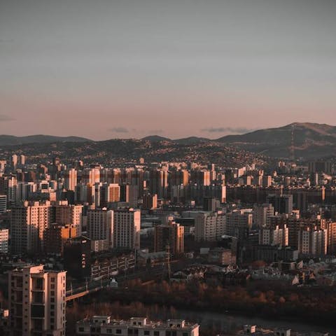 Walking Through the Blooming Boulevards of Ulaanbaatar - Flora Queen