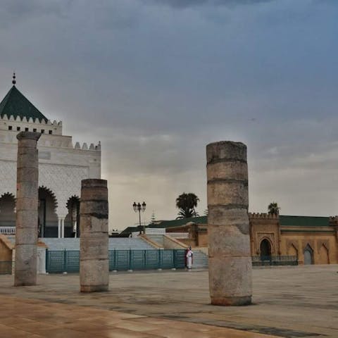 How Flowers Brighten Up the Streets of Rabat - Flora Queen