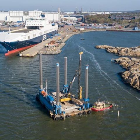 A Floral Journey Through the Alleys of Port-au-Prince - Flora Queen
