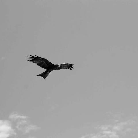 A Floral Exploration of the Markets of Libreville - Flora Queen