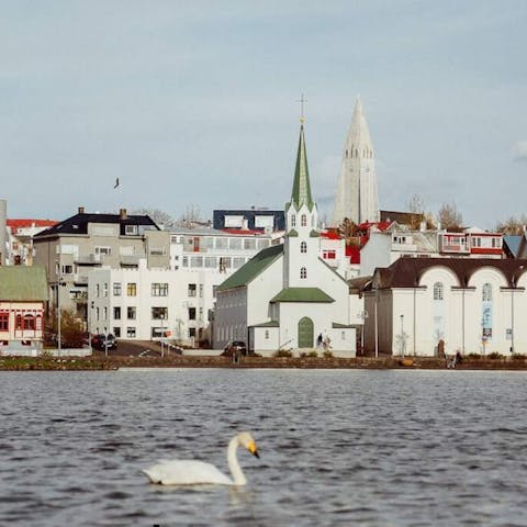The Blooming Heritage of Reykjavik’s Historical Streets - Flora Queen