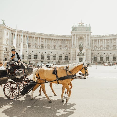 What To Do In Vienna, History And Culture. - Flora Queen