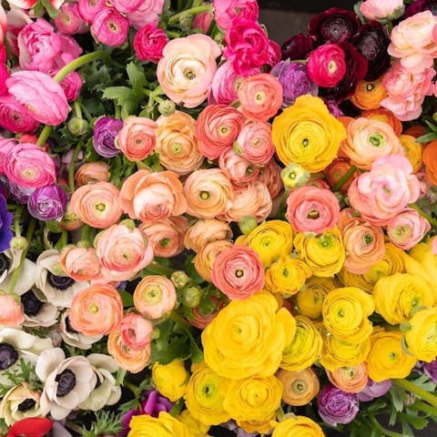 Get Flowers Delivered Today with Floraqueen - Flora Queen