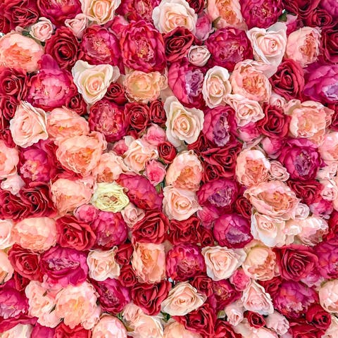 How to Keep Roses Alive: A Comprehensive Guide to Rose Care - Flora Queen