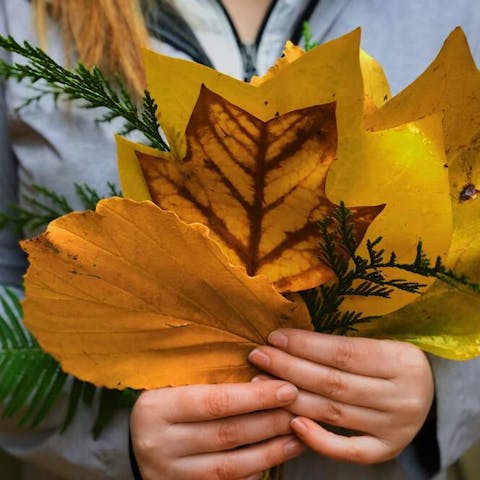 How To Keep Bouquet Fresh - Flora Queen