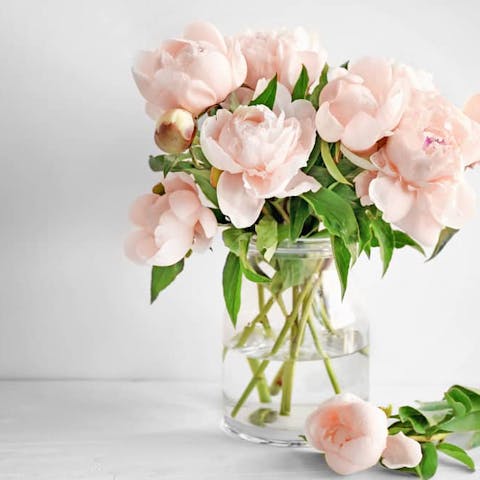 How Long Do Flowers Last and How Can We Enjoy A Fresh Bouquet - Flora Queen