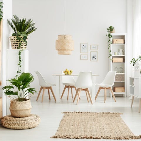 Indoor plants. Which plants purify the air in your home? - Flora Queen