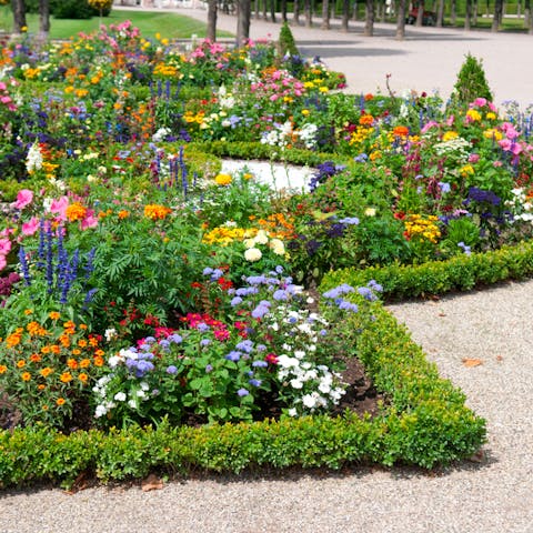 So Many Flower Beds: Which Should you Choose? - Flora Queen
