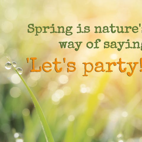 Learn the Most Famous Quotes about Spring to Surprise Your Friends and Family - Flora Queen