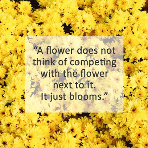Learn Quotes about Flowers and Be Romantic - Flora Queen
