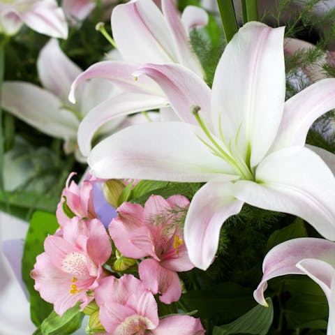 What to Send Instead of Flowers for Sympathy - Flora Queen