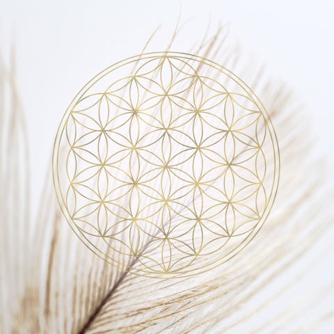 The Flower of Life: Meaning, Origin, and Symbolism - Flora Queen