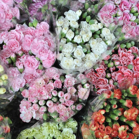 Benefits of Buying Wholesale Flowers - Flora Queen