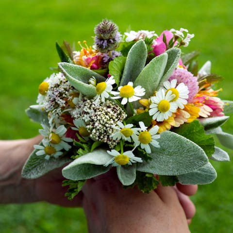 Posy Flower Meaning: An Ancient Expression of Love - Flora Queen
