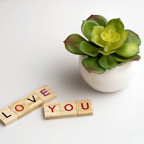 Express How You Feel Through Words of Romance - Flora Queen