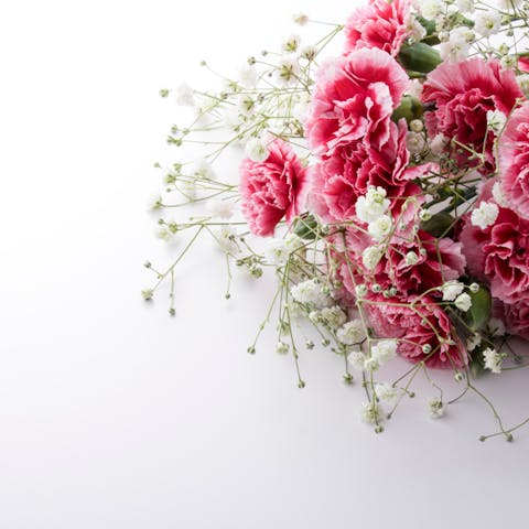 How to Express Love Using Carnations Instead of Words - Flora Queen