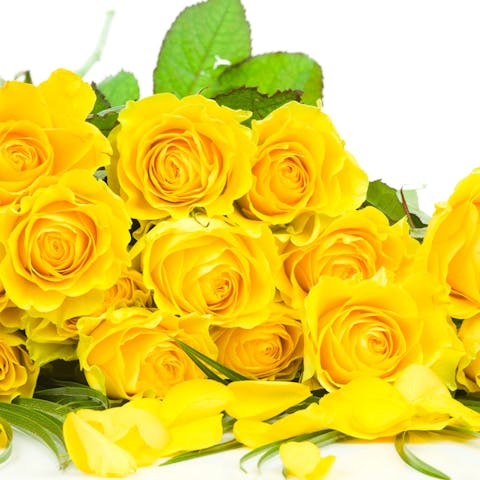 The Meaning and Symbolism Behind Yellow Roses - Flora Queen