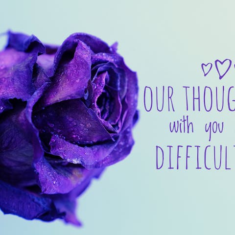 Finding the Perfect Sympathy Message - Flora Queen