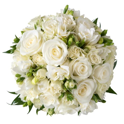 White Roses Delivery - Flora Queen