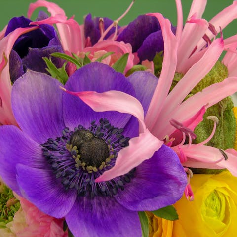 Same-day Flower Delivery - Flora Queen