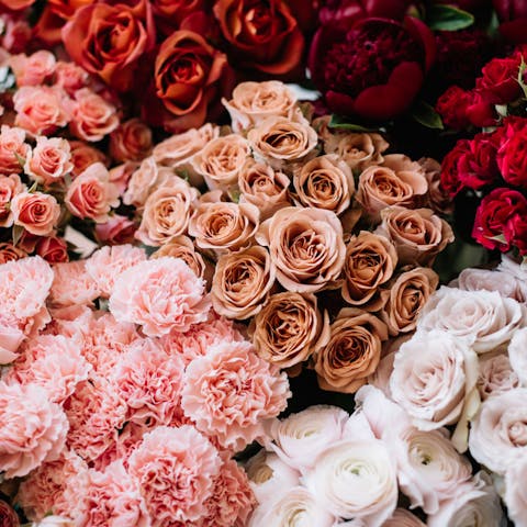 Roses Same-day Deliveries - Flora Queen