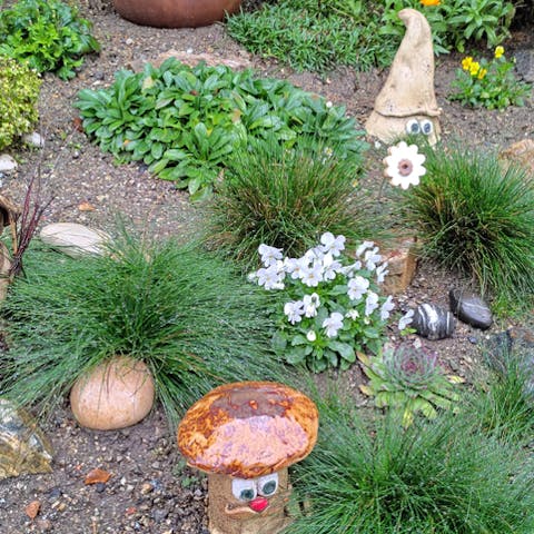 Beautify Your Garden: Best Perennials for Any Yard - Flora Queen