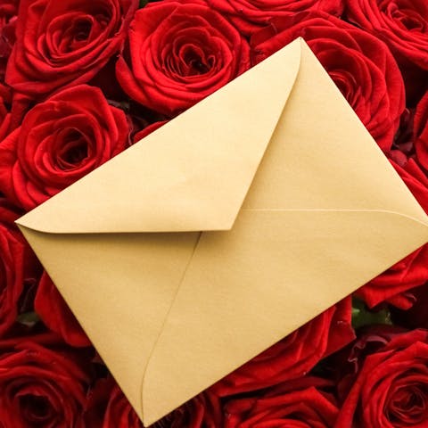 What is the Best Flower Delivery Service? - Flora Queen