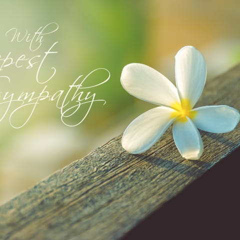 Sympathy - Flora Queen