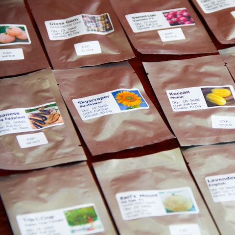 Flower Seeds - Flora Queen