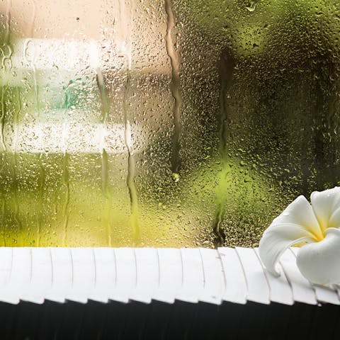 Don’t let winter get you down: 5 flowers to brighten up your Blue Monday - Flora Queen