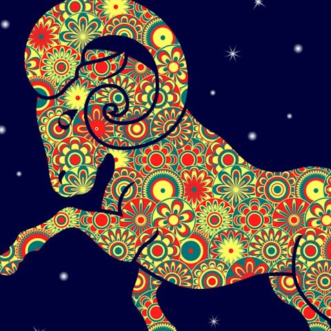 Amaze With The Best Aries Flowers Nature Has To Offer - Flora Queen