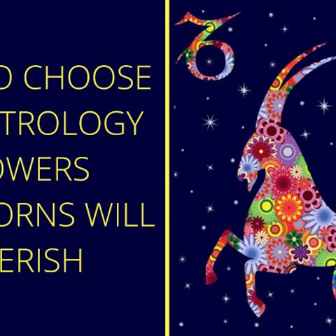 How To Choose The Astrology Flowers Capricorns Will Cherish - Flora Queen