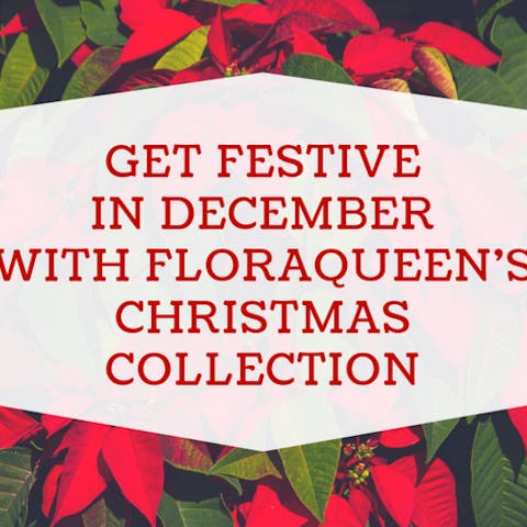 Get Festive In December With FloraQueen’s Christmas Collection - Flora Queen