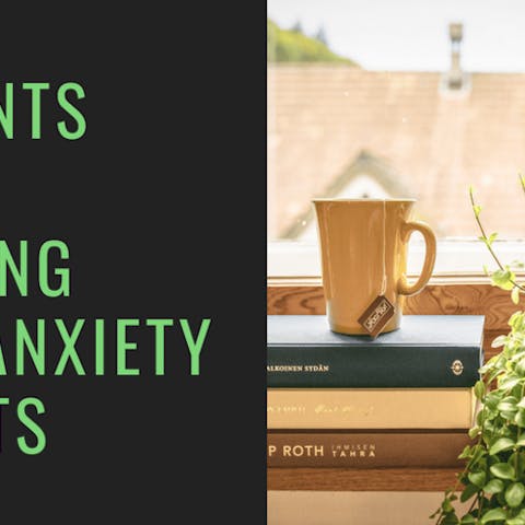 6 Plants With Amazing Anti-Anxiety Effects - Flora Queen