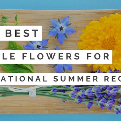 The Best Edible Flowers For Sensational Summer Recipes - Flora Queen